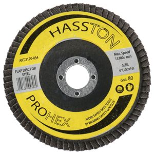 Amplas Flap Disc